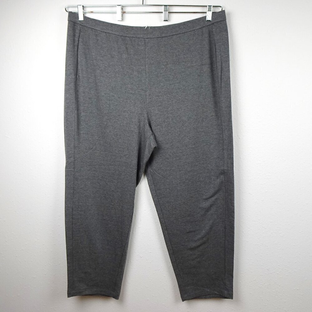 Eileen Fisher Ankle Pants Women's Plus Size 3X Gray Slouch Fleecy Cozy